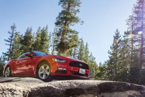 Red Ford Fusion