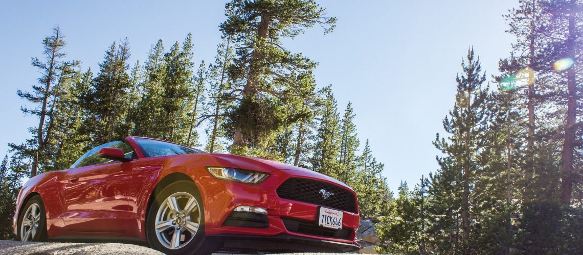 Red Ford Fusion